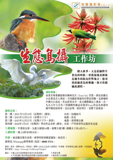 生態鳥攝工作坊